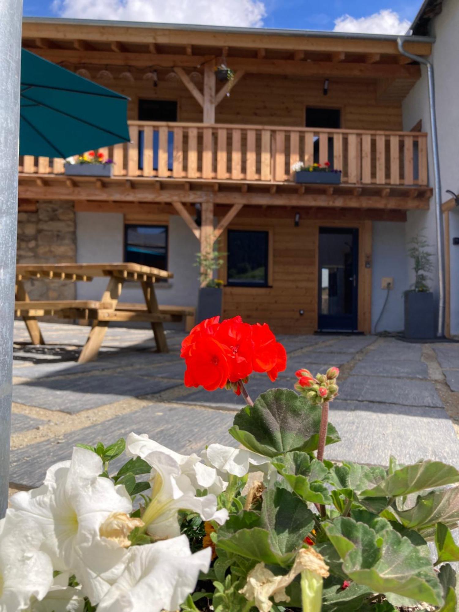 Studio Canellito Le Clos Des Ours Matemale Zewnętrze zdjęcie